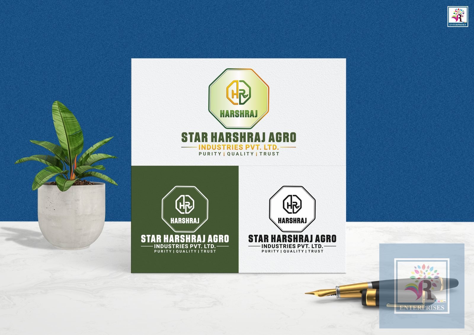 Logo Design 13